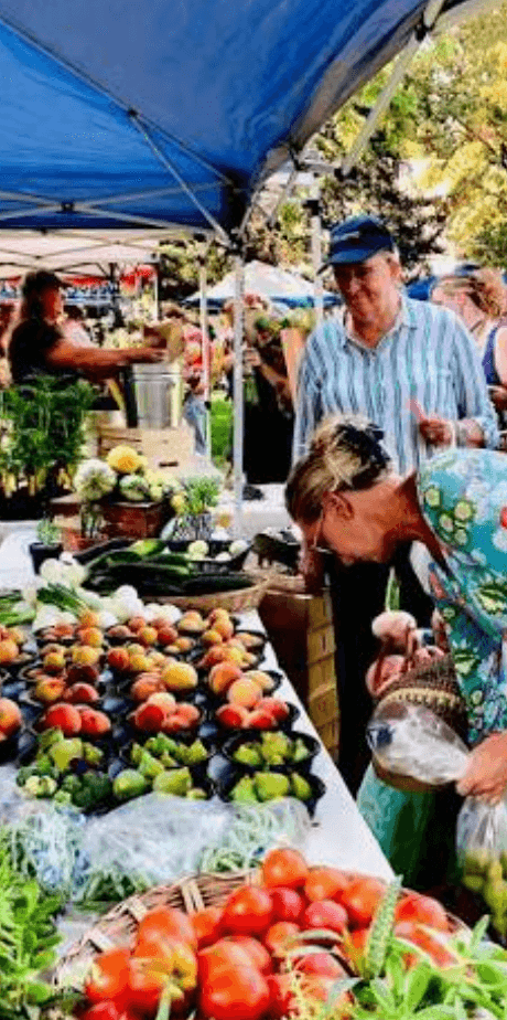 A bustling farmers' market with various fresh fruits and vegetables on display, and people browsing and shopping.