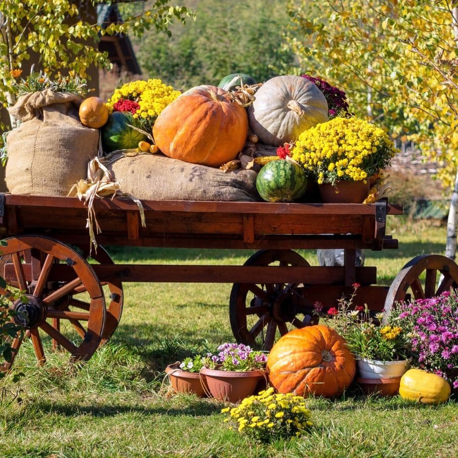 A wooden cart overflowing with colorful pumpkins, gourds, and flower pots in a lush outdoor setting.