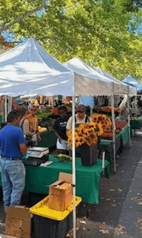A bustling farmer's market with vendors under white tents selling fruits and sunflowers.