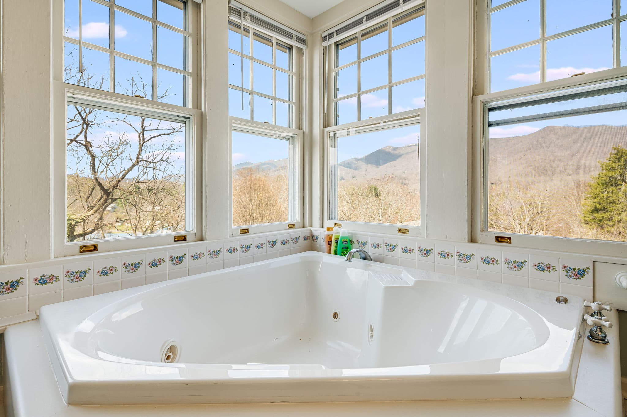large whirlpool tub, large windows